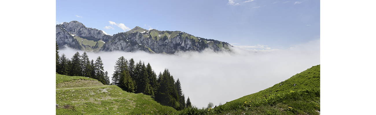 MBL LAC DES FONTAINES   en tant qu'objet dynamique - 1